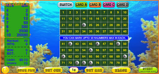 4 Card Keno - Multi Card Keno screenshot