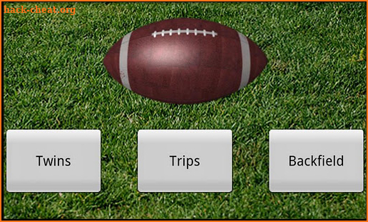 5 Man Flag Football Playbook screenshot