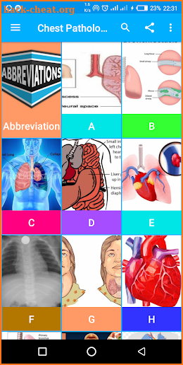 A-Z Chest X-Ray Interpretation screenshot