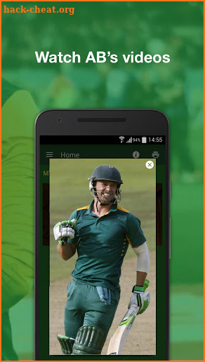 AB de Villiers Whole Brain Cricket screenshot