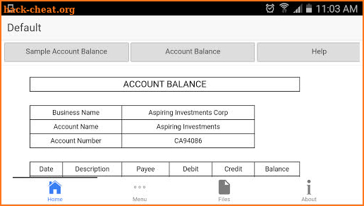 Account Ledger screenshot