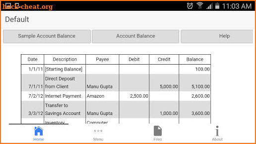 Account Ledger screenshot