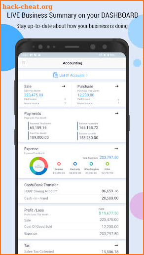 Accounting Bookkeeping - Invoice Expense Inventory screenshot