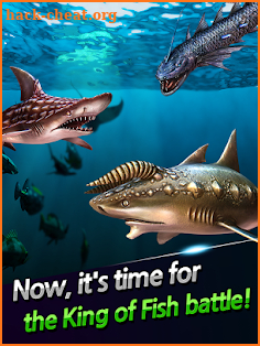 Ace Fishing: Wild Catch screenshot