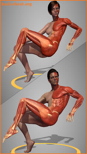 Action Anatomy - 3D anatomy pose app for artists screenshot