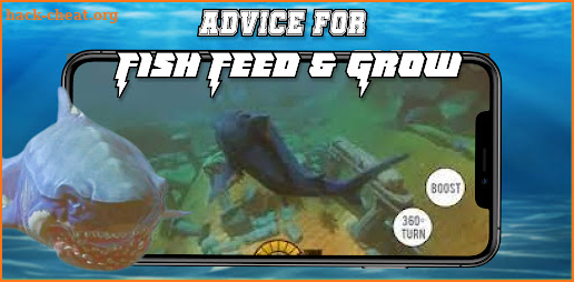 Advice For Fish Feed and Grow screenshot