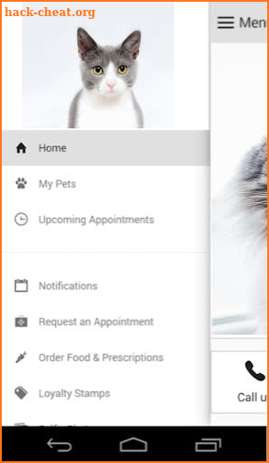 Affordable Vet Services GA screenshot