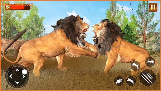 African Lion - Wild Lion Games screenshot