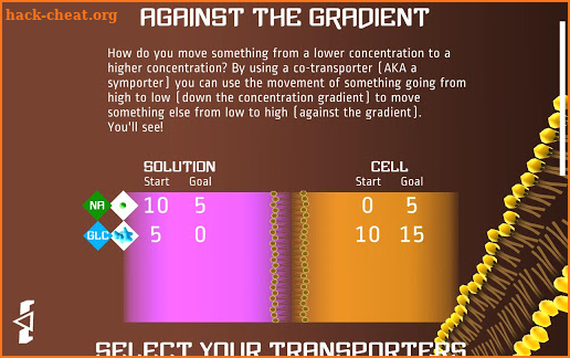 Against the Gradient screenshot