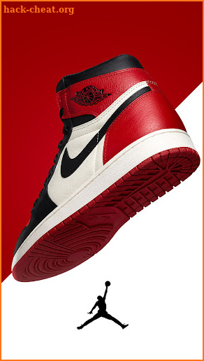 AIR JORDAN screenshot