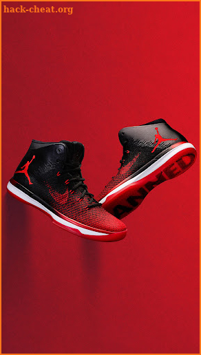 AIR JORDAN SNEAKERS screenshot