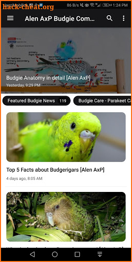 Alen AxP Budgie Community screenshot