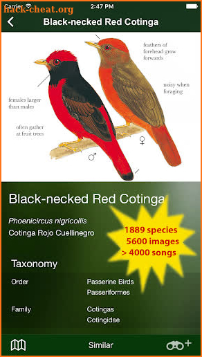 All Birds Colombia - A Sunbird Field Guide screenshot