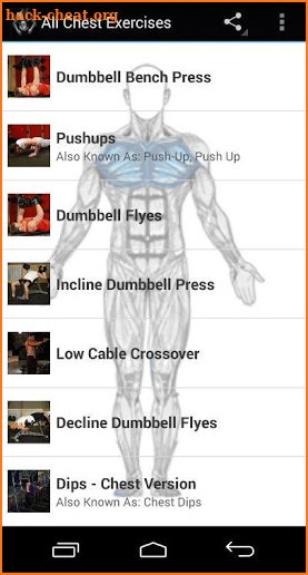 All Chest Exercises screenshot