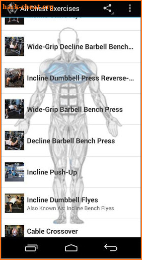 All Chest Exercises screenshot