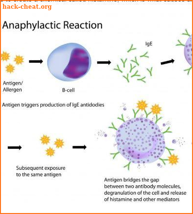 Allergy-Causes, Symptoms & Treatment screenshot