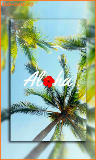 Aloha Wallpapers screenshot