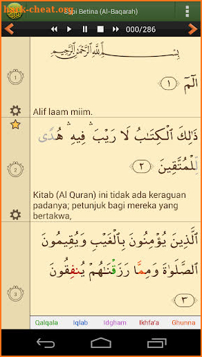 Al'Quran Bahasa Indonesia Advanced screenshot