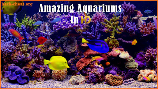 Amazing Aquariums In HD screenshot