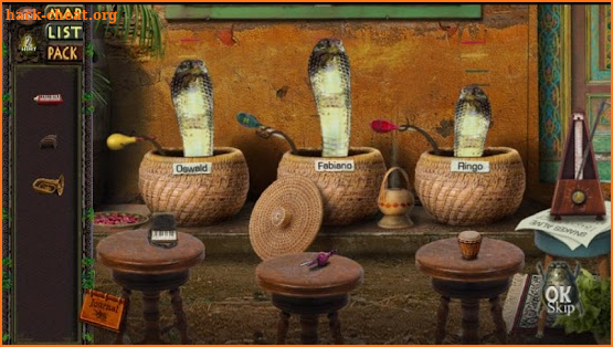 Amazon:Hidden Expedition-Full screenshot