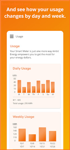 Ambit Energy Customer screenshot