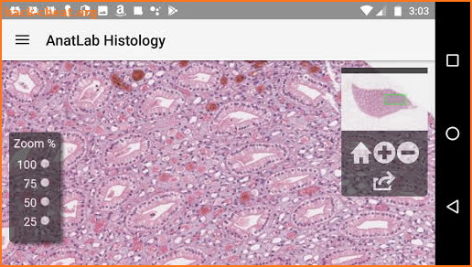 AnatLab Histology screenshot