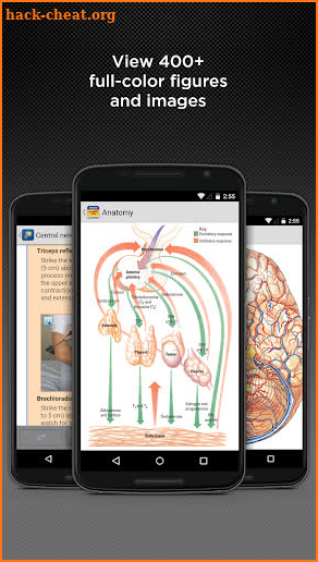 Anatomy & Physiology Made Easy screenshot