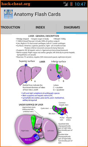 Anatomy Flash Cards screenshot