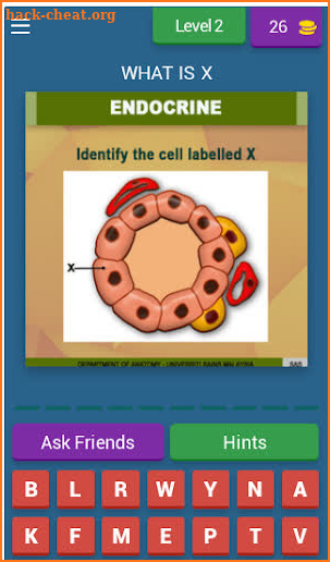 Anatomy Online Quiz: Endocrine System screenshot