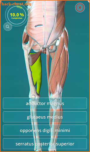 Anatomy Quiz 3D  - human screenshot