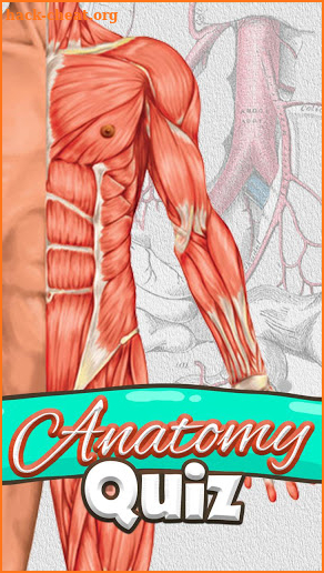 Anatomy Quiz Free Science Game screenshot