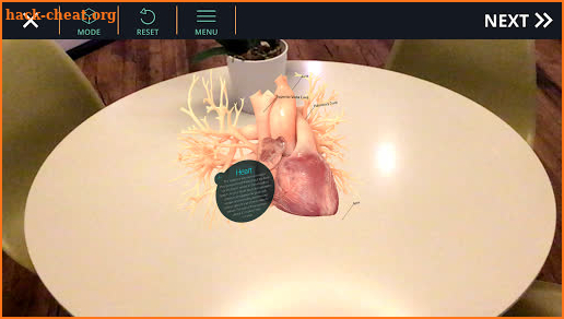 AnatomyAR+ for Merge Cube screenshot