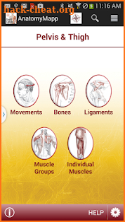 AnatomyMapp screenshot