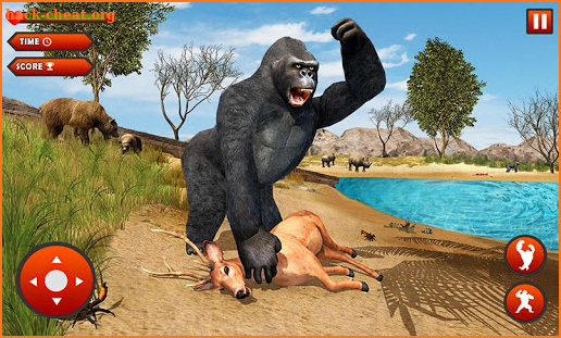 Angry Gorilla Attack : Wild Animal Jungle Survival screenshot