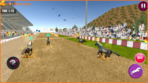 Angry Horse Racing 3D Simulator screenshot