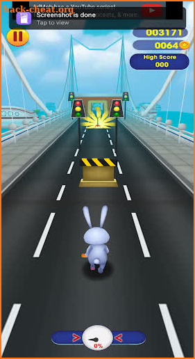 Animal City Runway Race screenshot