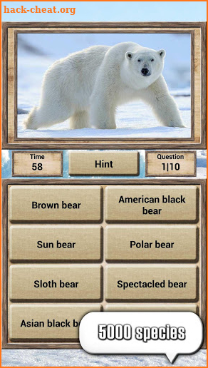 Animal Kingdom - Quiz Game screenshot