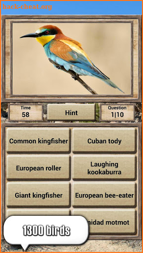 Animal Kingdom - Quiz Game screenshot