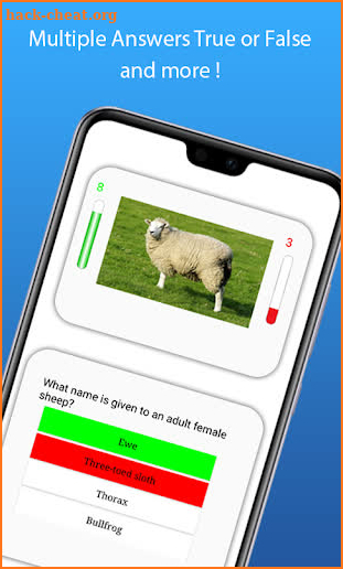 Animal Quiz screenshot