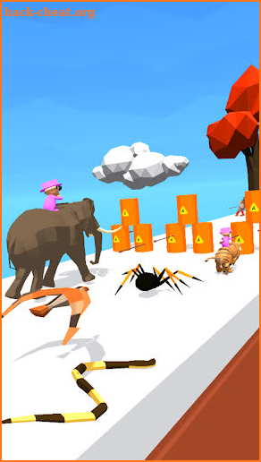 Animal Race - Transform Run Animals Switch screenshot