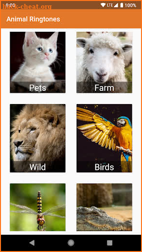 Animal Ringtones & Sounds screenshot