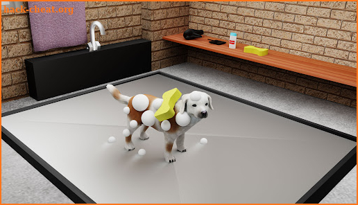 Animal Shelter Simulator Pro screenshot