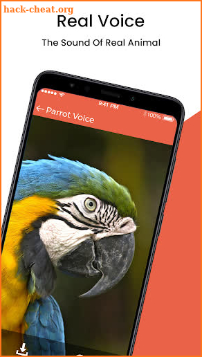 Animal Sound Ringtone screenshot