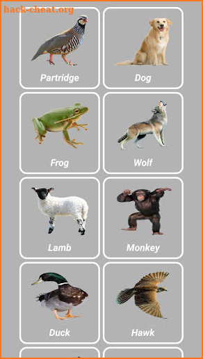 Animal Sounds screenshot