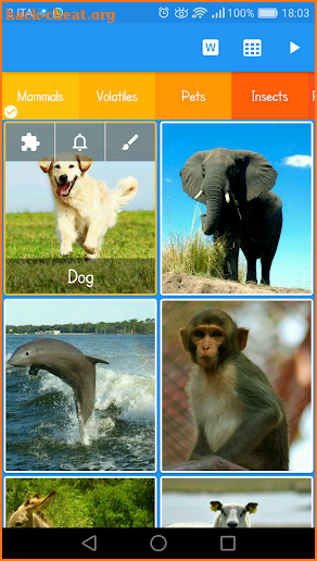 Animal Sounds and Games screenshot