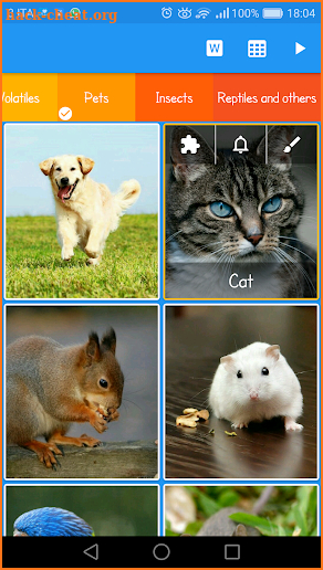 Animal Sounds and Games screenshot