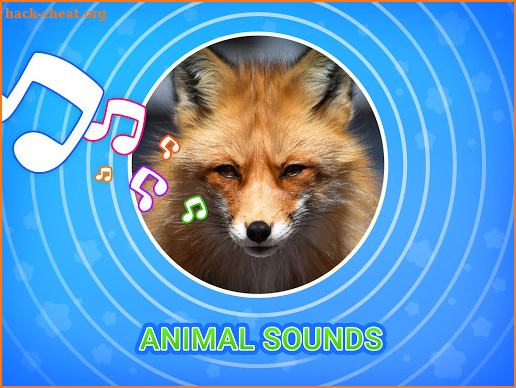 Animal Voices screenshot