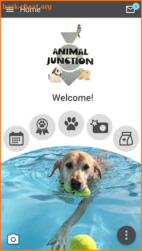 AnimalJunctionVet screenshot