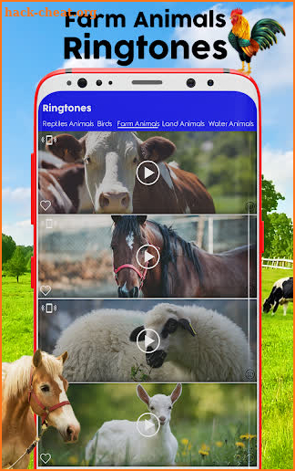 Animals and Birds Ring Tones screenshot