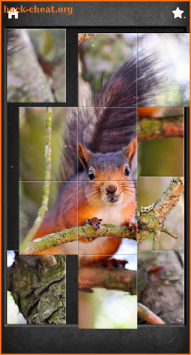 Animals puzzles - photo jigsaw screenshot